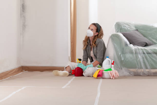 Reliable Mold Inspection contractor in Nanty Glo, PA by WQB Mold Removal